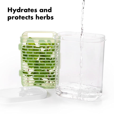 OXO Greensaver bottom water hydration delays wilting for herbs