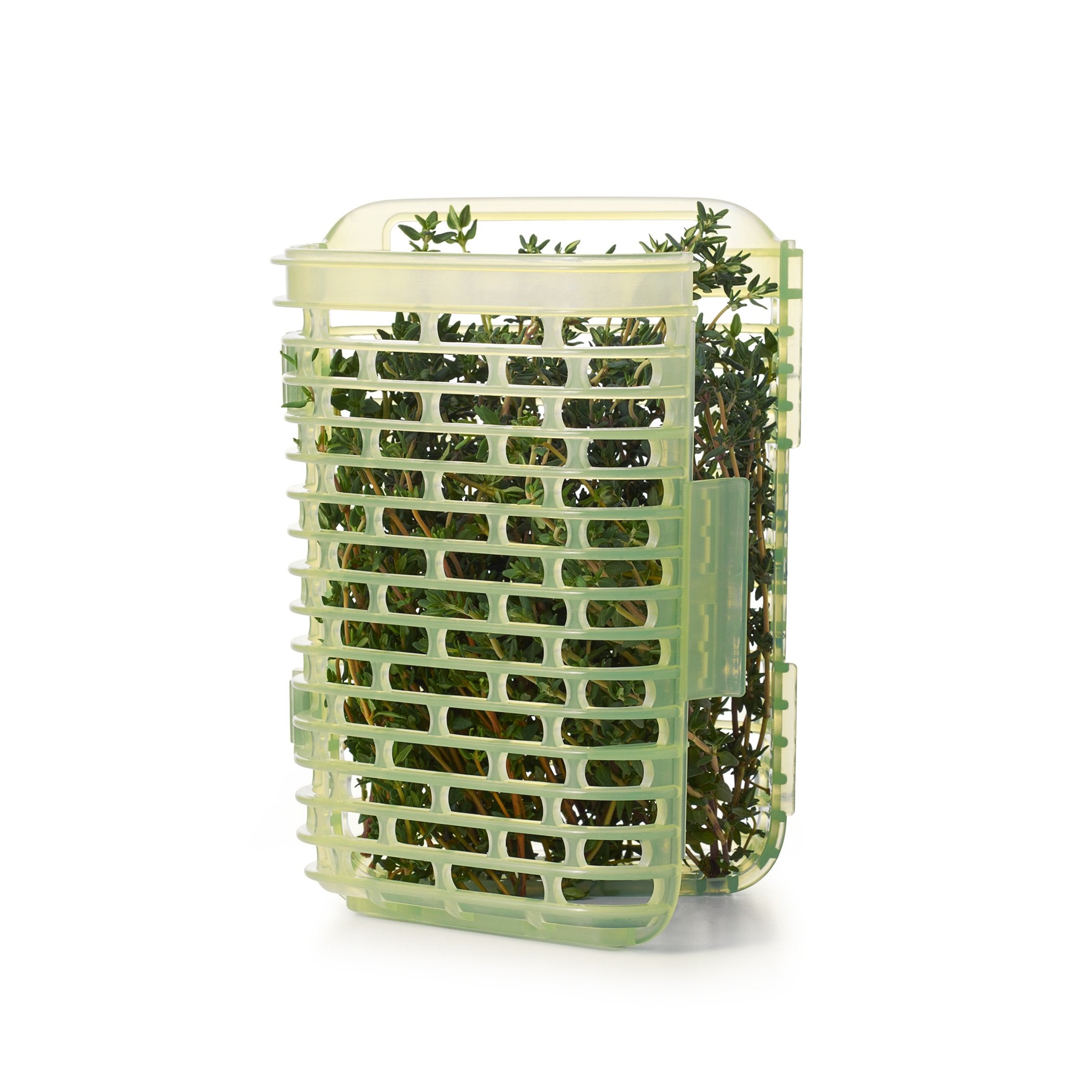 OXO Greensaver keeps sage, rosemary, and thyme fresh