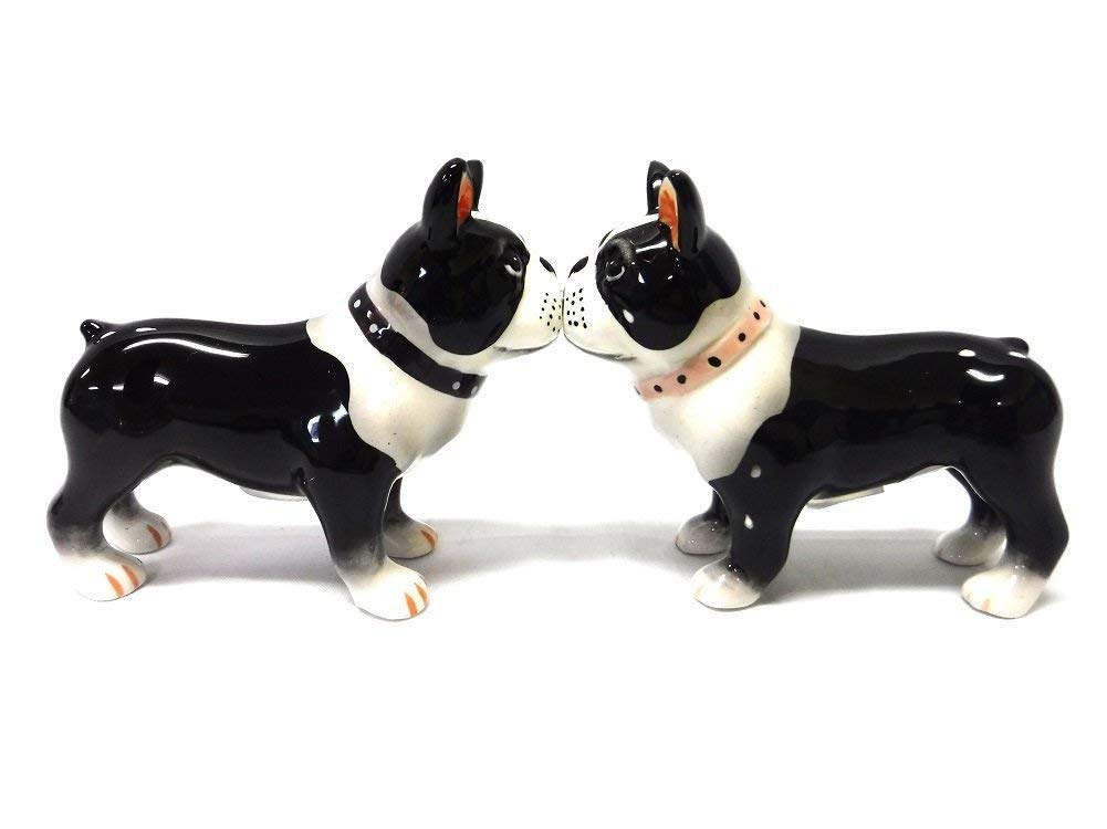 Pacific Giftware Boston Terrier Pups magnetic salt and pepper shakers—ideal for stylish seasoning at the table.