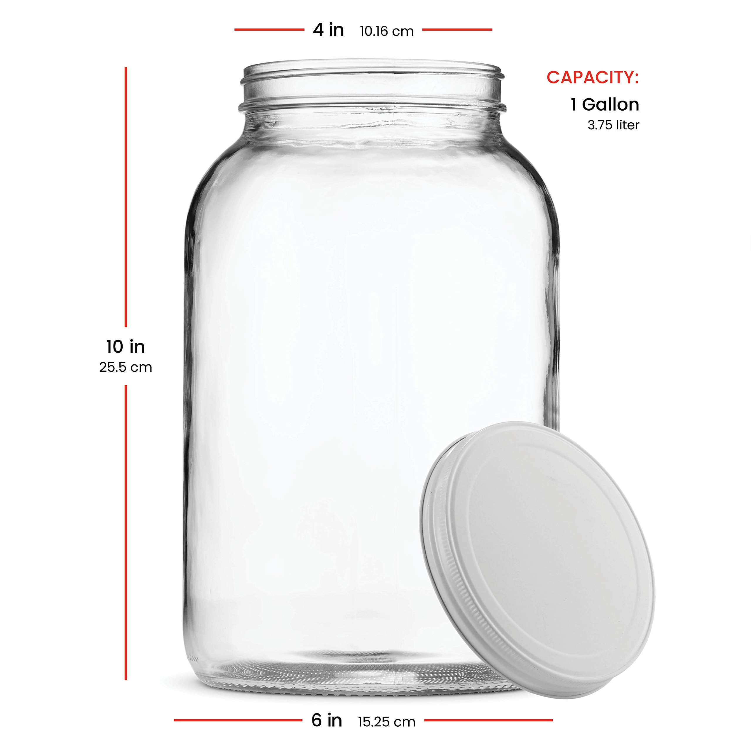 Paksh Novelty fermentation jar supports small-batch at home