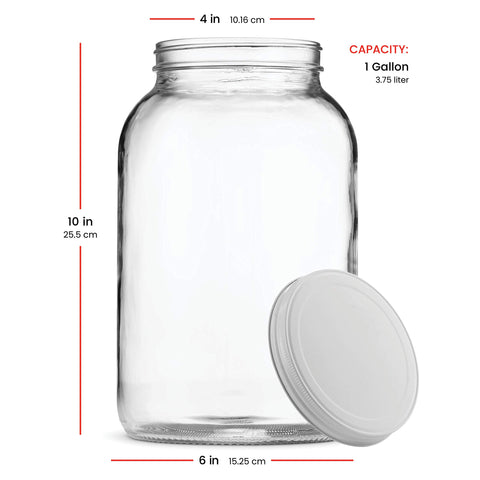 Paksh Novelty fermentation jar supports small-batch at home