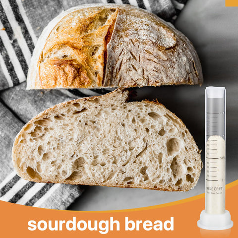 Pakusane sourdough kit helps beginners learn fermentation and improve consistency.