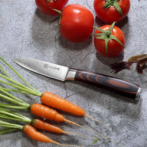 PAUDIN paring knife shown as easy-clean design under water