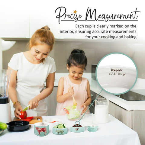 Pavilion Live Simply 1/2 cup teal measuring cup, microwave-safe and sturdy