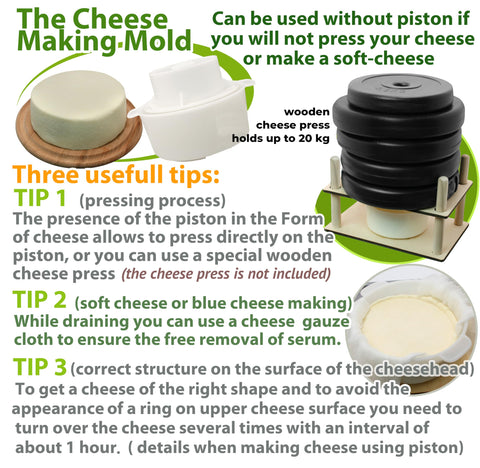 PetriStor mold enables reliable texture in homemade cheeses