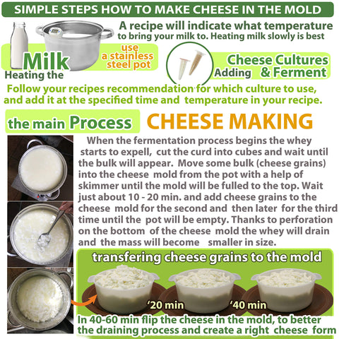 PetriStor paneer cheese press for home cheesemaking