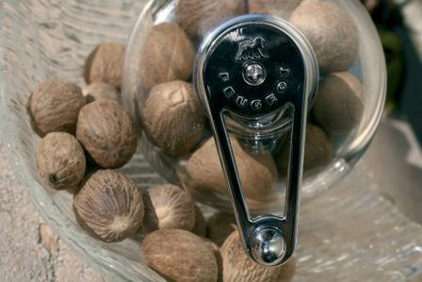 Peugeot 19501 Tidore Nutmeg Mill side view highlights durable mechanism for regular use.