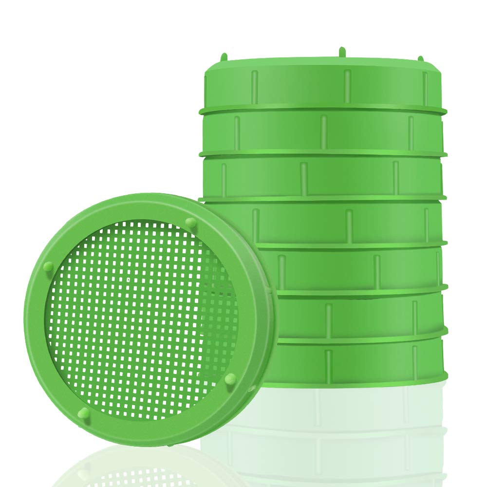 Picowe sprouting lid in green for 86mm wide-mouth jars, easy water filtration.