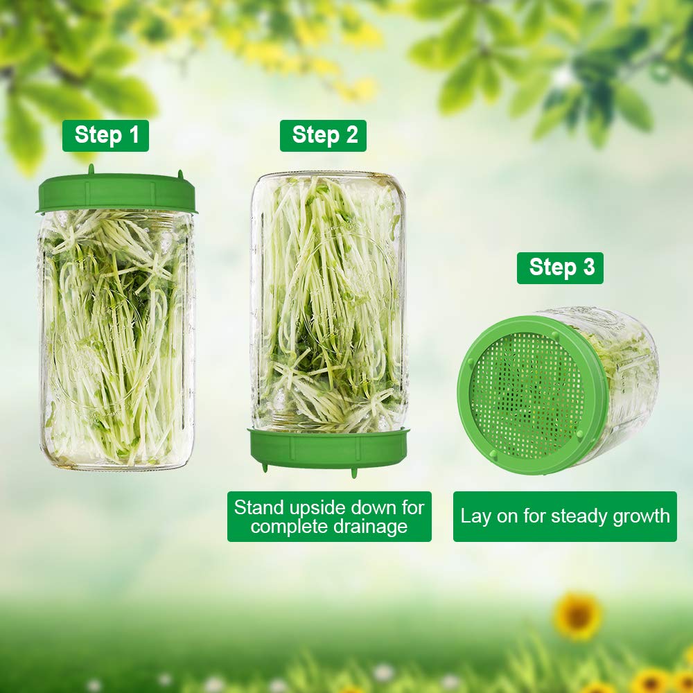 Picowe sprouting lid suits alfalfa, mung bean, and other dense sprouts.