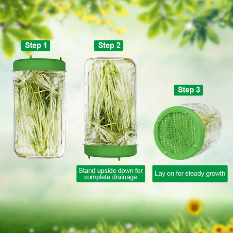 Picowe sprouting lid suits alfalfa, mung bean, and other dense sprouts.