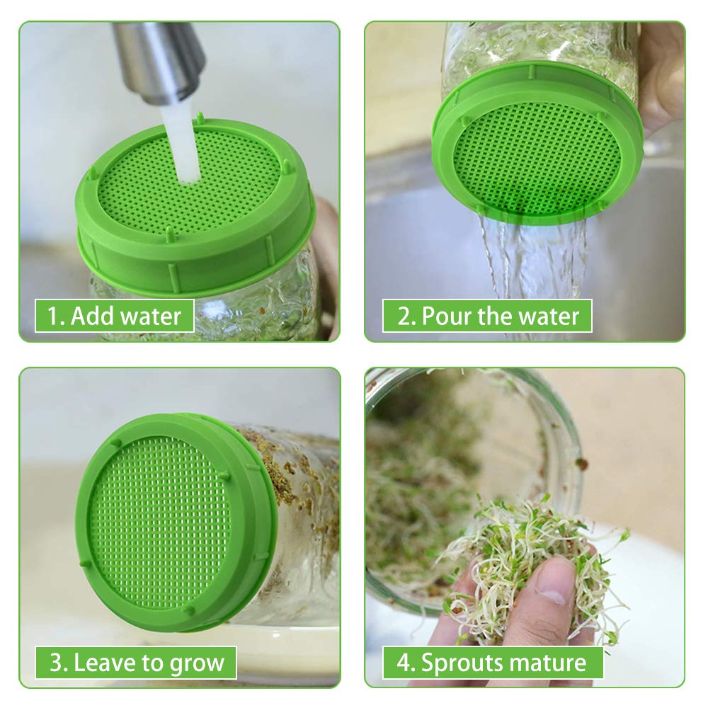Picowe sprouting lid has a 0.1 cm hole, limiting fine particles.