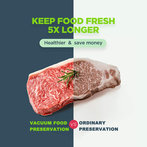 Potane Vacuum Sealer modes for dry, moist, soft, delicate foods.