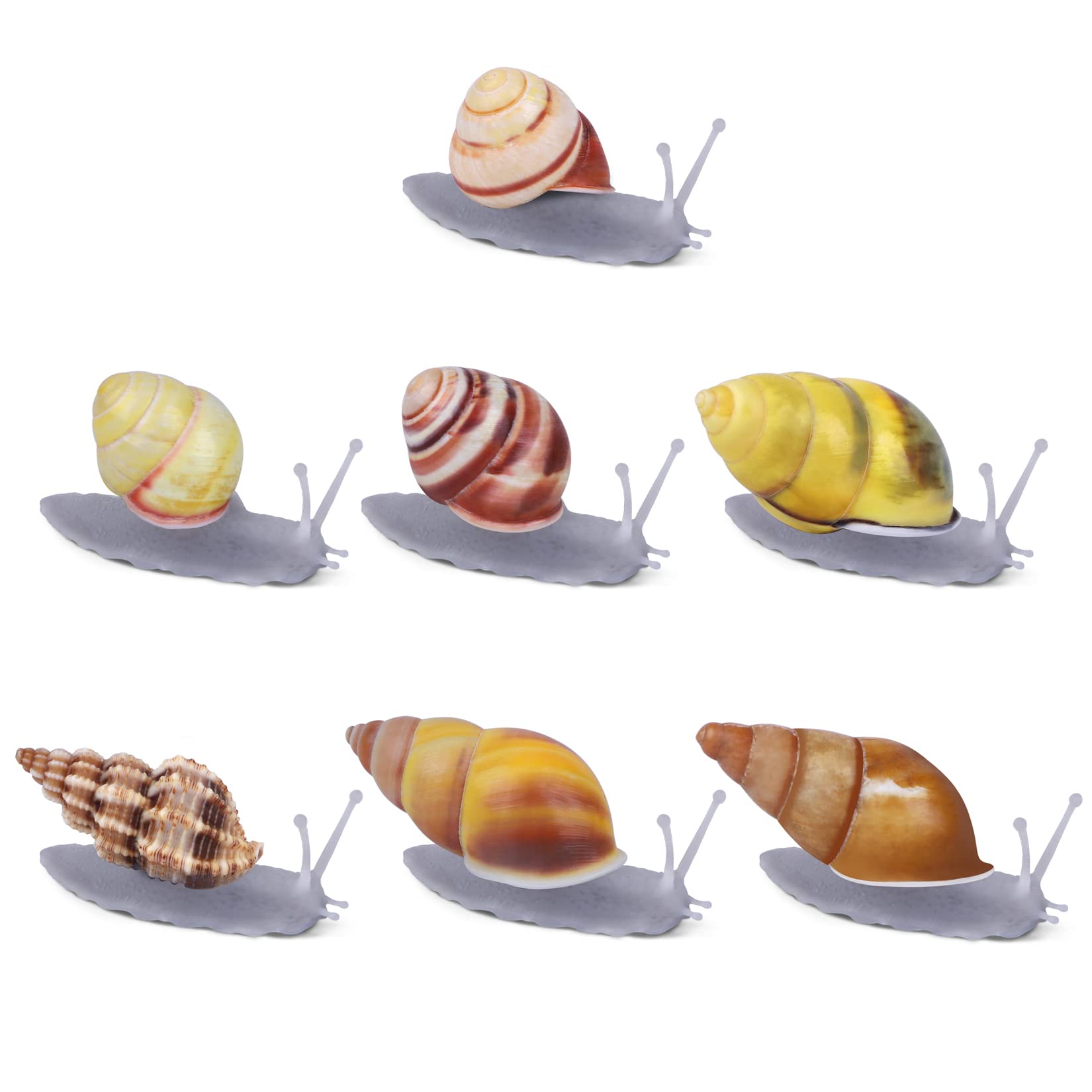 PPCLION snail shell magnet with decorative grey tone on fridge for organization