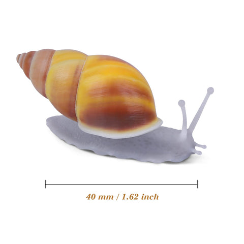 PPCLION natural snail shell magnet set on metal surface in kitchen