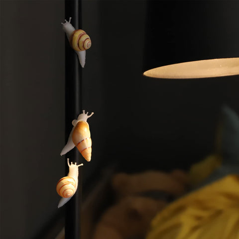 PPCLION seven piece snail shell magnets arranged for decor