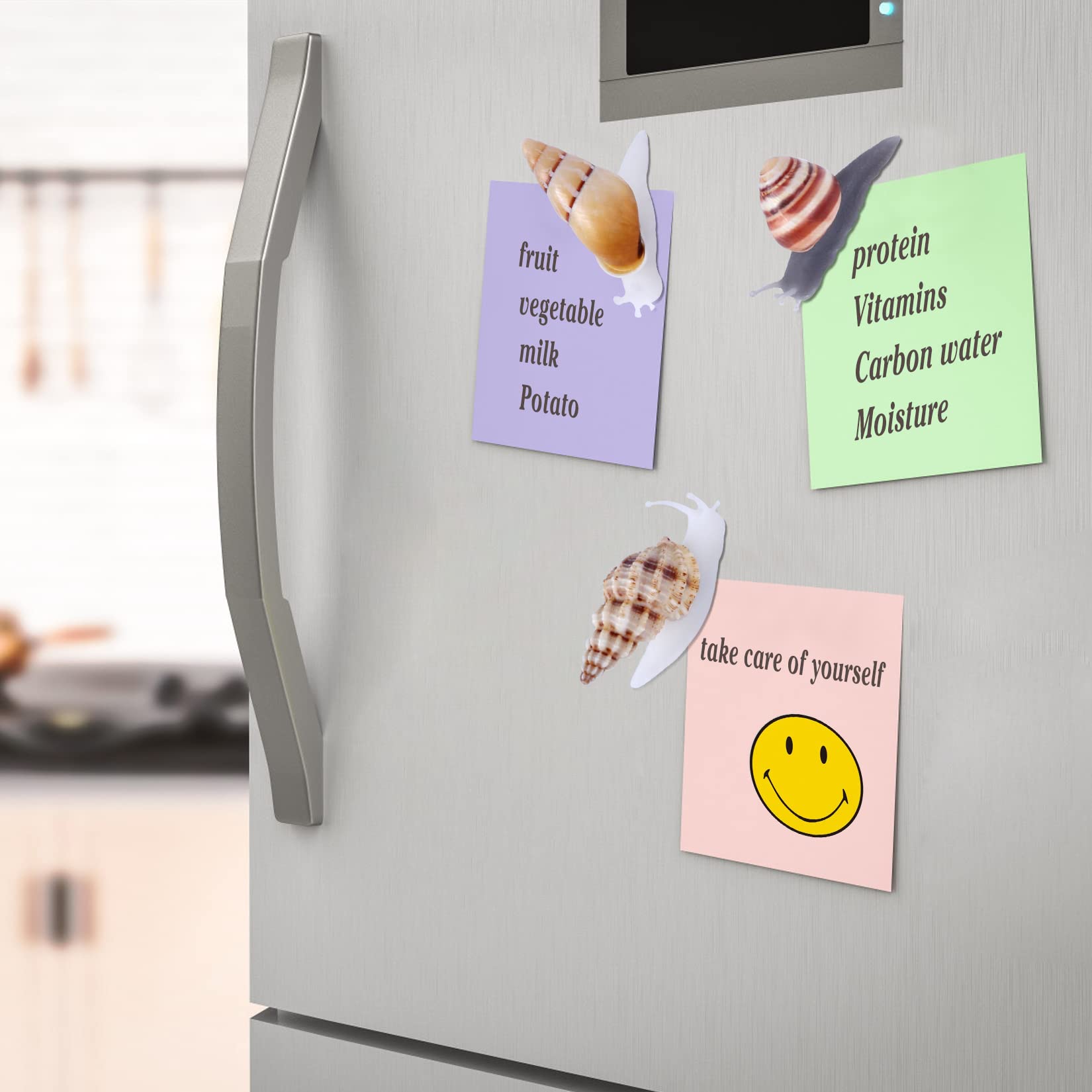 PPCLION snail shell magnets adding coastal vibe to office space