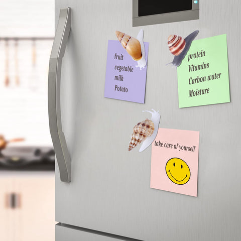 PPCLION snail shell magnets adding coastal vibe to office space