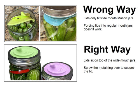 PremiumPresents vented lid showing DIY fermentation in kitchen