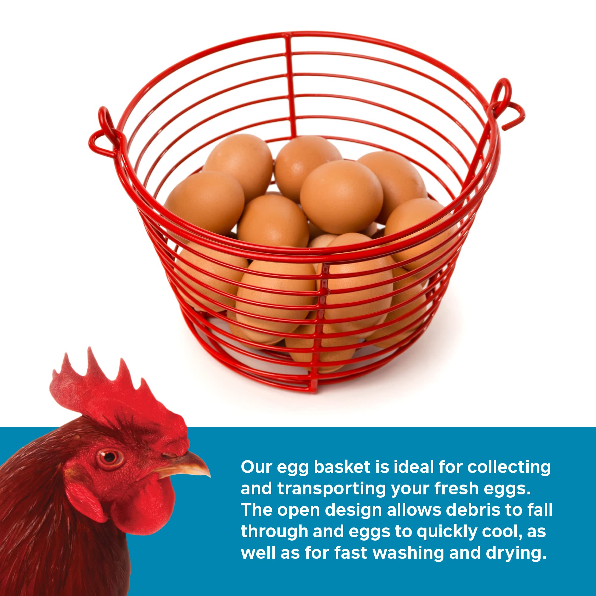 PH Prevue Hendryx egg basket is lightweight yet sturdy for daily use.