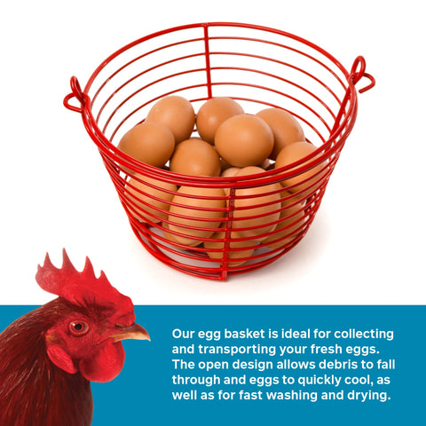 PH Prevue Hendryx egg basket is lightweight yet sturdy for daily use.