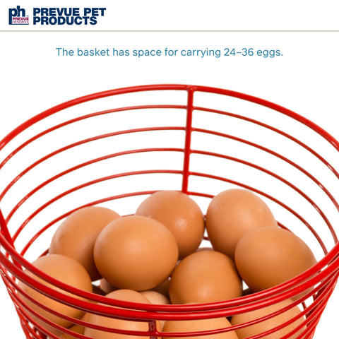 PH Prevue Hendryx egg basket open design letting dirt fall away during harvest.
