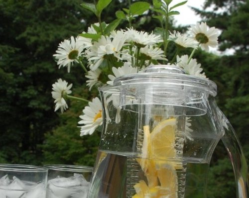 Prodyne hand-wash recommended to keep pitcher pristine