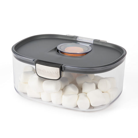 Progressive ProKeeper terracotta disk preserves moisture for chewy baked goods.