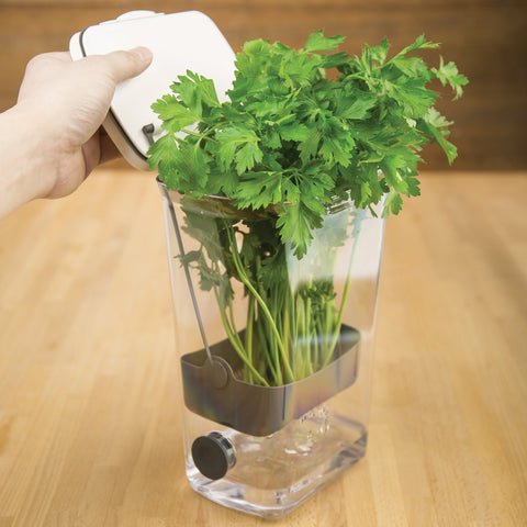 ProKeeper Herb Keeper white hydrates asparagus for freshness