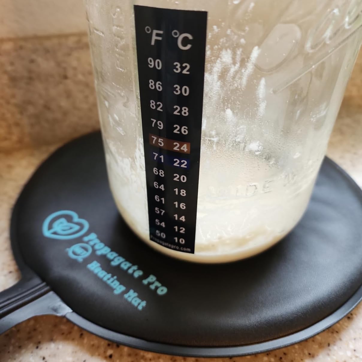 Propagate Pro heat pad 10-inch under carboy for gentle temperature control.