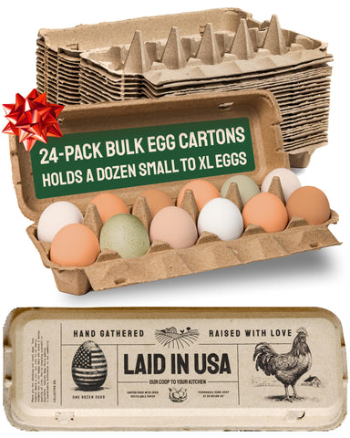 PTCOM Hatortempt 24-pack egg cartons for secure kitchen storage with organized presentation