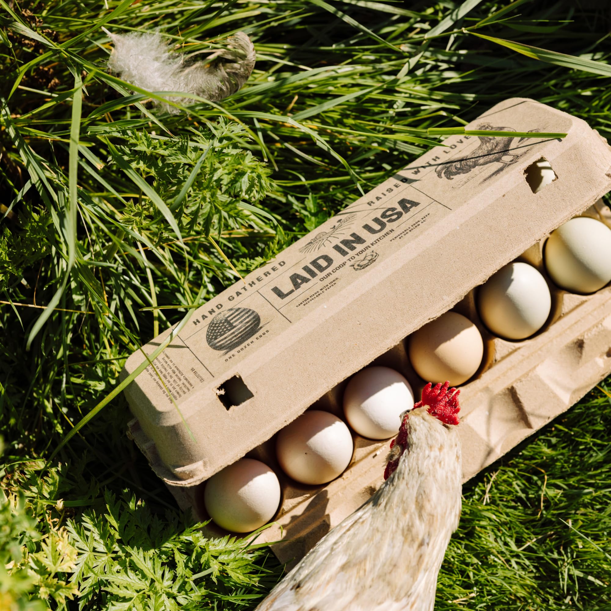 PTCOM Hatortempt 24-pack helps organize eggs across sizes from small to XL