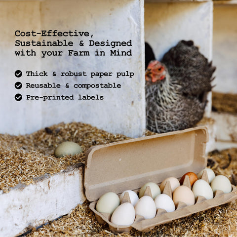 PTCOM Hatortempt recycled paper pulp material provides sturdy, eco-friendly protection