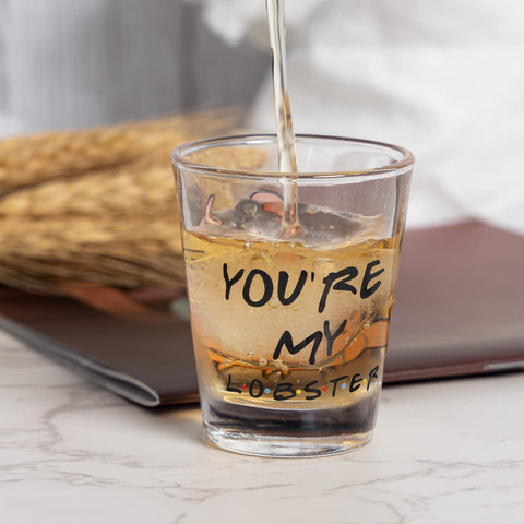 PuGez gift idea for Friends fans, ideal housewarming or birthday present.