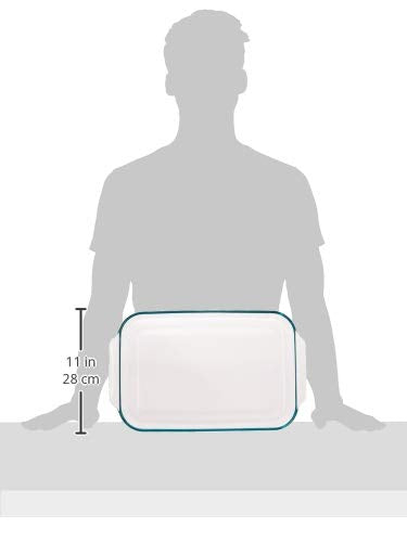 Clear Pyrex glass surface resists odors and flavors between uses.