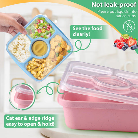 QQKO Bento BPA-free wheat straw construction for safe, lightweight meals.