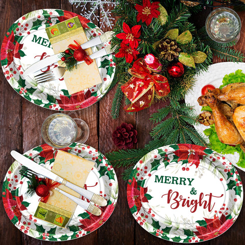 QZYL 12.2 x 10.2 inch plates fit turkey and sides.