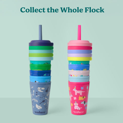REDUCE GoGo 5-pack reduces clutter and travel-ready hydration options.
