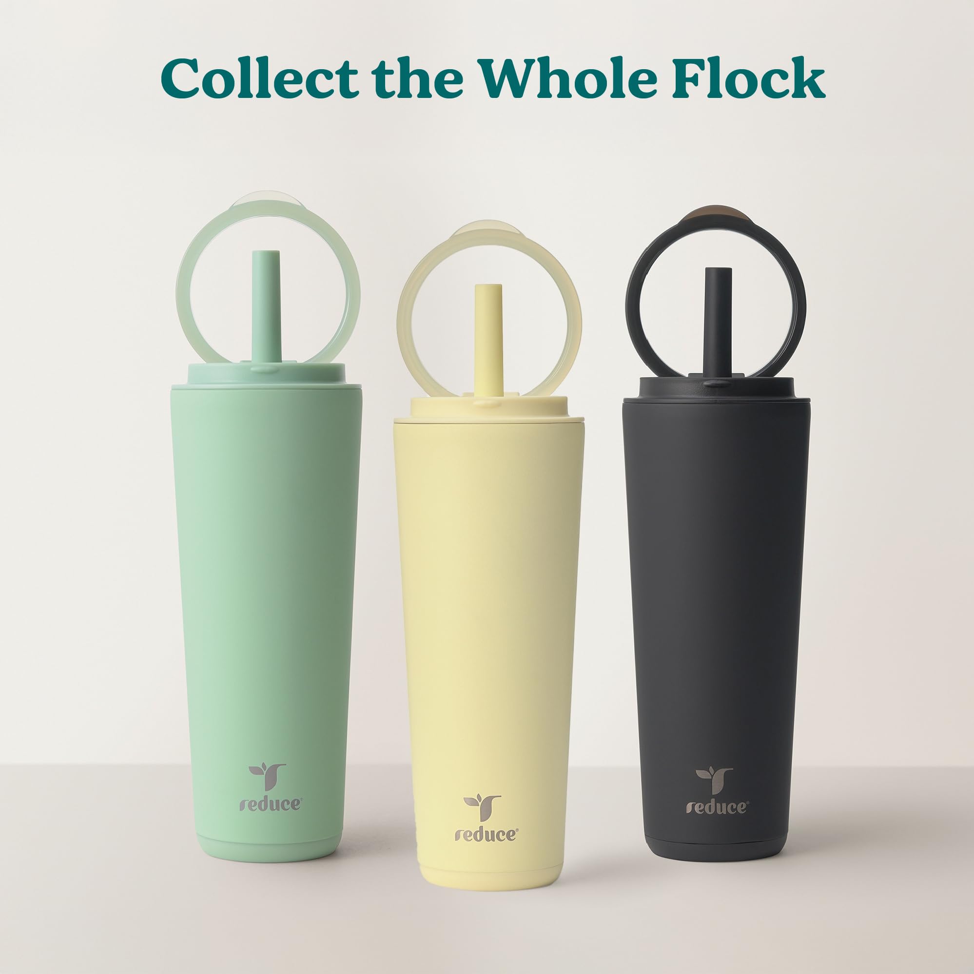 REDUCE Halo dragon fruit color adds bold style to daily routines