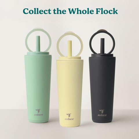 REDUCE Halo dragon fruit color adds bold style to daily routines