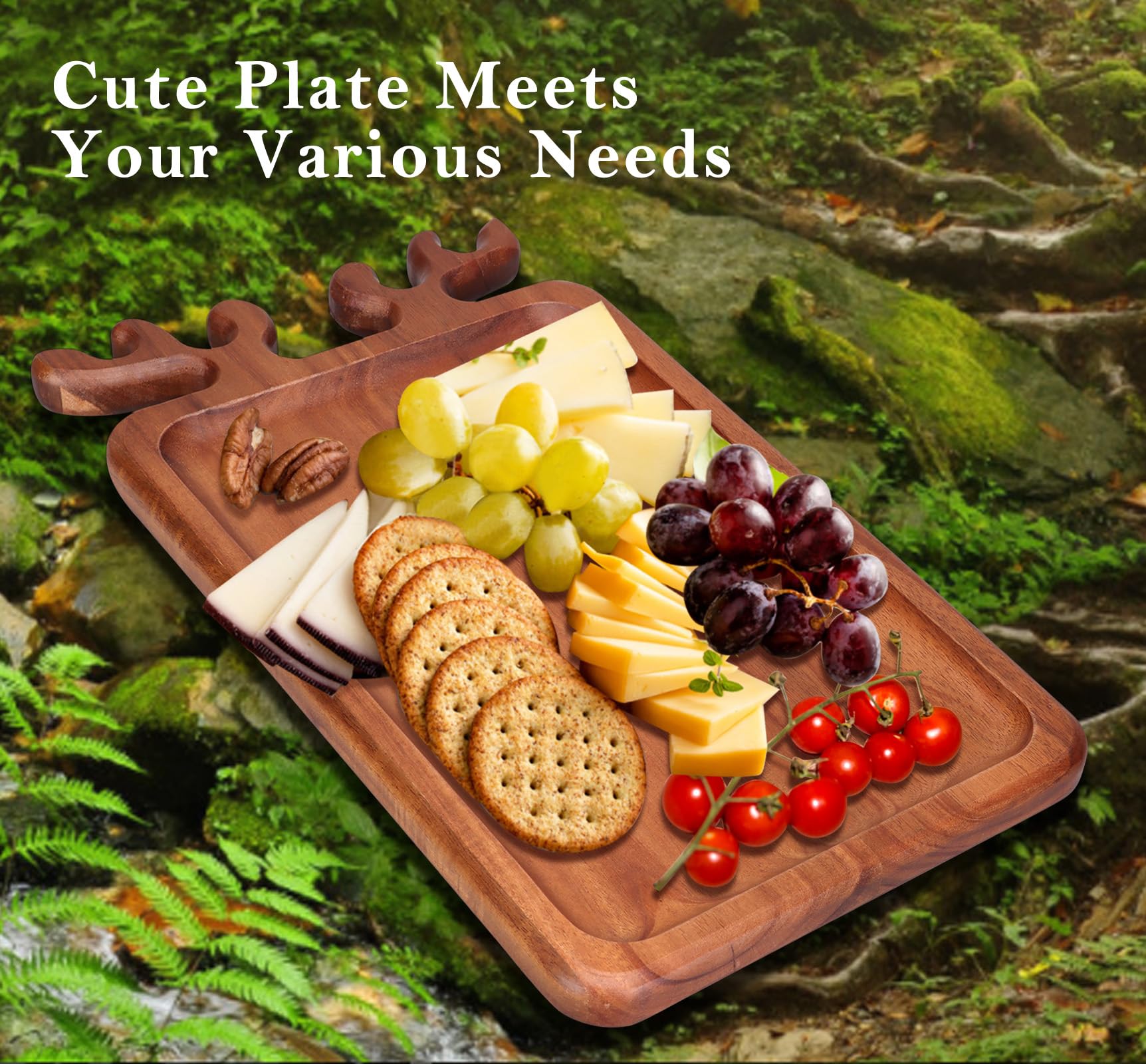 Renawe 14x8 inch platter rectangle size for cookies.