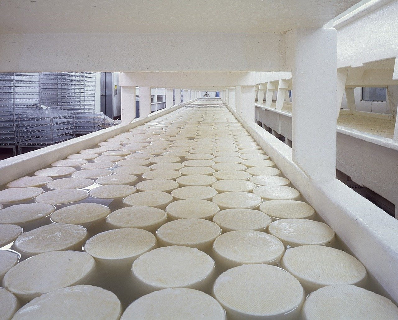 Vegetarian cheese-inspired scene with Rennet Ideal label.