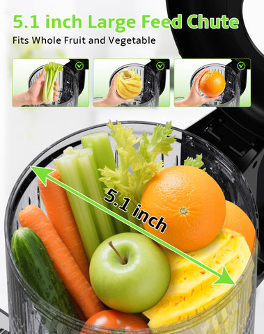 Rilara juicer showcasing the 300W motor for strong, efficient extraction.