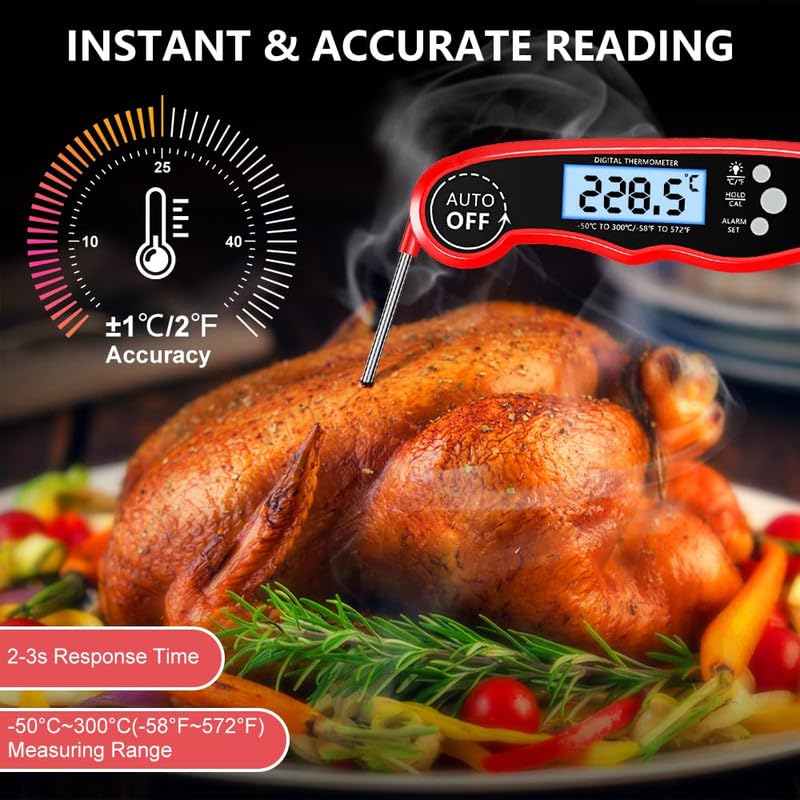RIWUSI external probe measuring core temperature in oven