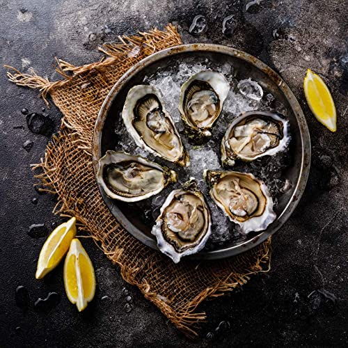 Rockland Guard oyster knife in use, ergonomic handle ensures comfort