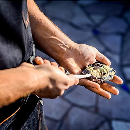 Rockland Guard shellfish opening demonstration for clams and mussels