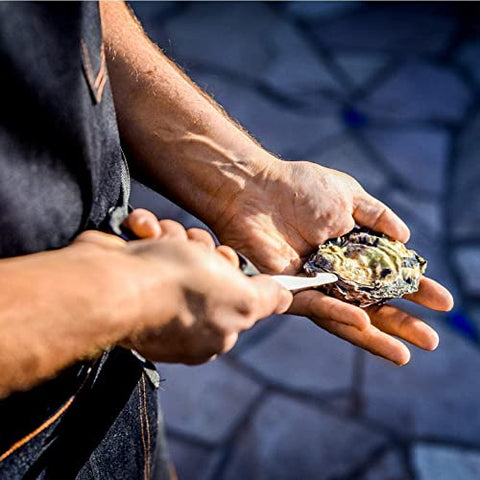 Rockland Guard shellfish opening demonstration for clams and mussels