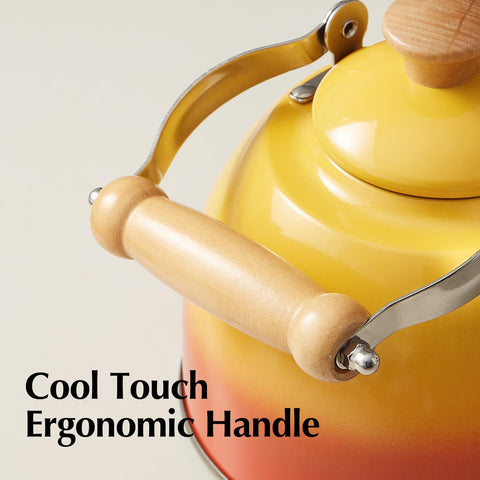 ROCKURWOK Tea Kettle orange induction-ready design for versatile cooking.