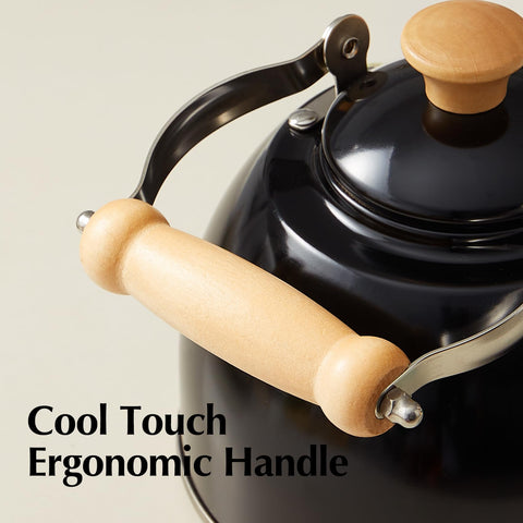 ROCKURWOK tea kettle teflon free coating for safe use