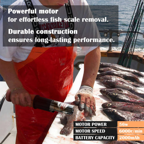 ROEDEER fish scaler showing dual cutter heads for versatile scaling.