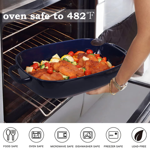 Roeveca fridge and disinfection cabinet safe ceramic dish for storage.